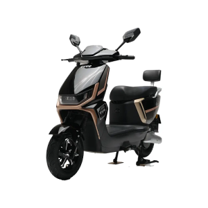 e bike